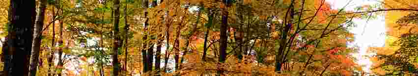 高省官网是一家致力于互联网大数据+落地应用资源整合的平台？